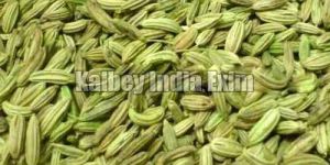 Fennel Seeds