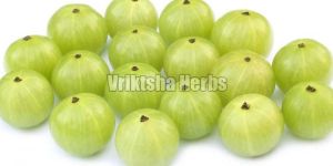Fresh Amla