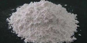 Bacillus Coagulans 250 Billion CFU