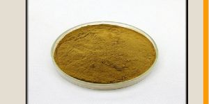 Bacopa Monnieri Extract