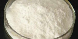 Bifidobacterium Bifidum 20 Billion