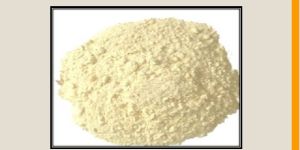Garlic Extract