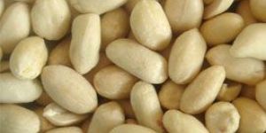 Blanched Peanut