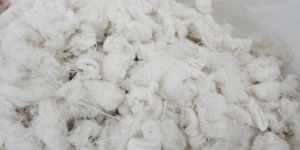 Cotton Yarn Waste
