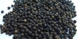 Black Pepper Seeds