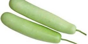 Fresh Bottle Gourd