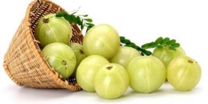 Fresh Amla