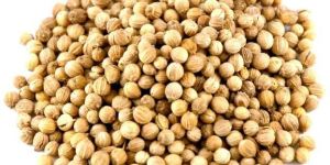 Coriander Seeds