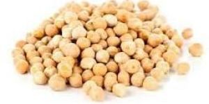 Chickpeas