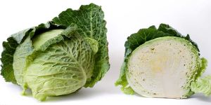 Fresh Cabbage