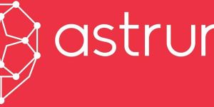 Reputation Management Services