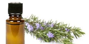 Rosemary Oil