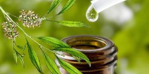 Tea Tree Oil