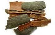 Cinnamon Sticks