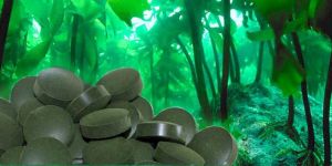 Spirulina Tablets