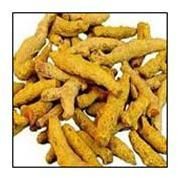 Turmeric Finger