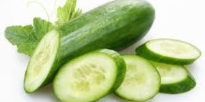 Cucumber
