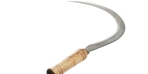 Sickle
