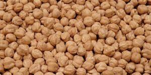 White Chick Peas