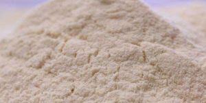 Dehydrated White Onion Powder