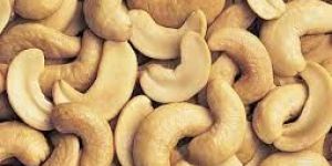 Cashew Nuts