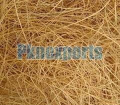 Coconut Fiber