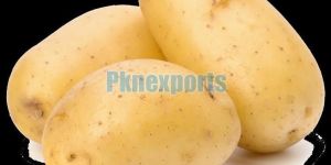 Fresh Potato