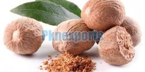 Nutmeg