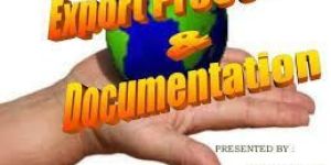 Export Documentation Solution
