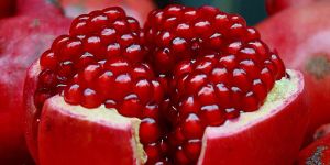 Red Pomegranate