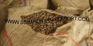 Imported Cashew Nuts
