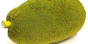 Fresh Jackfruit