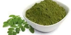 Moringa Leaves Powder