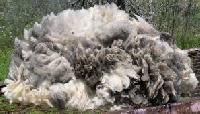 Raw Sheep Wool