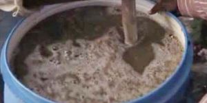 Organic Jeevamrut Liquid Fertilizer