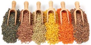 Organic Pulses