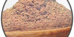 Spices Coriander Seeds