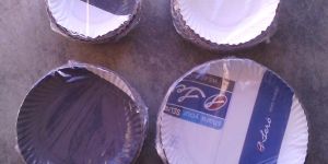 Disposable Paper Plates
