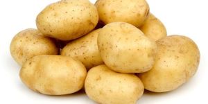 Fresh Potato