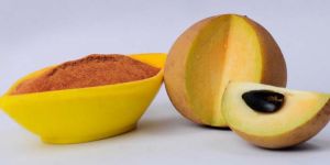 Spray Dried Sapota Powder