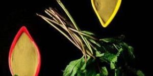 Spray Dried Mint Powder