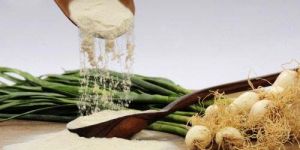 Spray Dried Spring Onion Powder