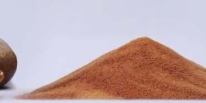 Spray Dried Tamarind Powder
