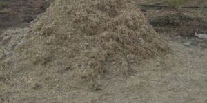 Biomass Fiber