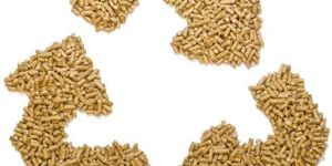 Biomass Wood Pellets