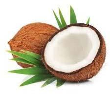 Fresh Coconut