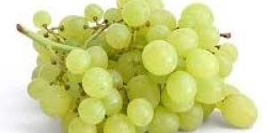 Fresh Grapes