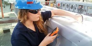 Painting Inspection Services