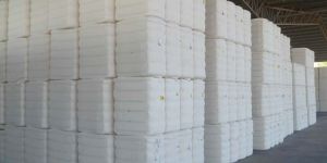 Cotton Bales