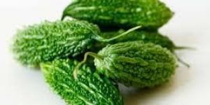 Fresh Bitter Gourd